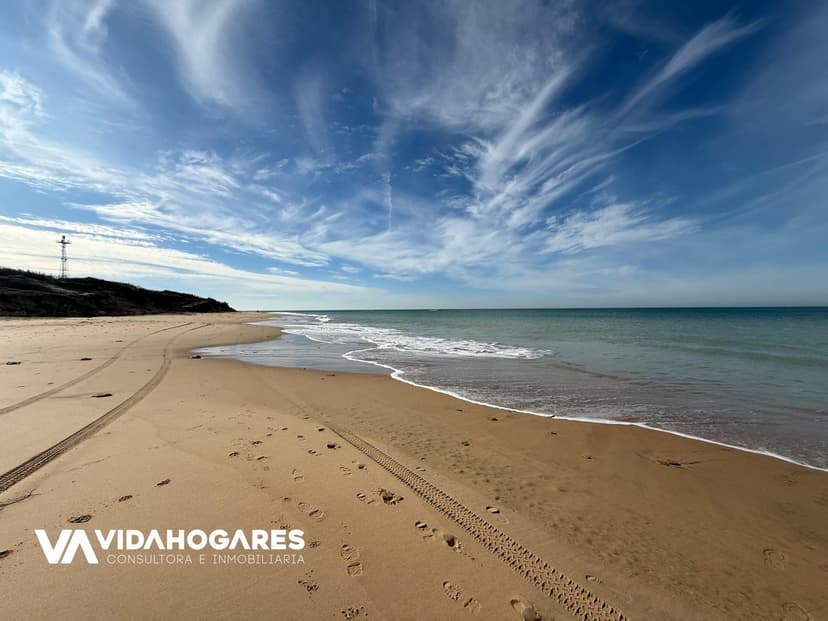Imagen 19